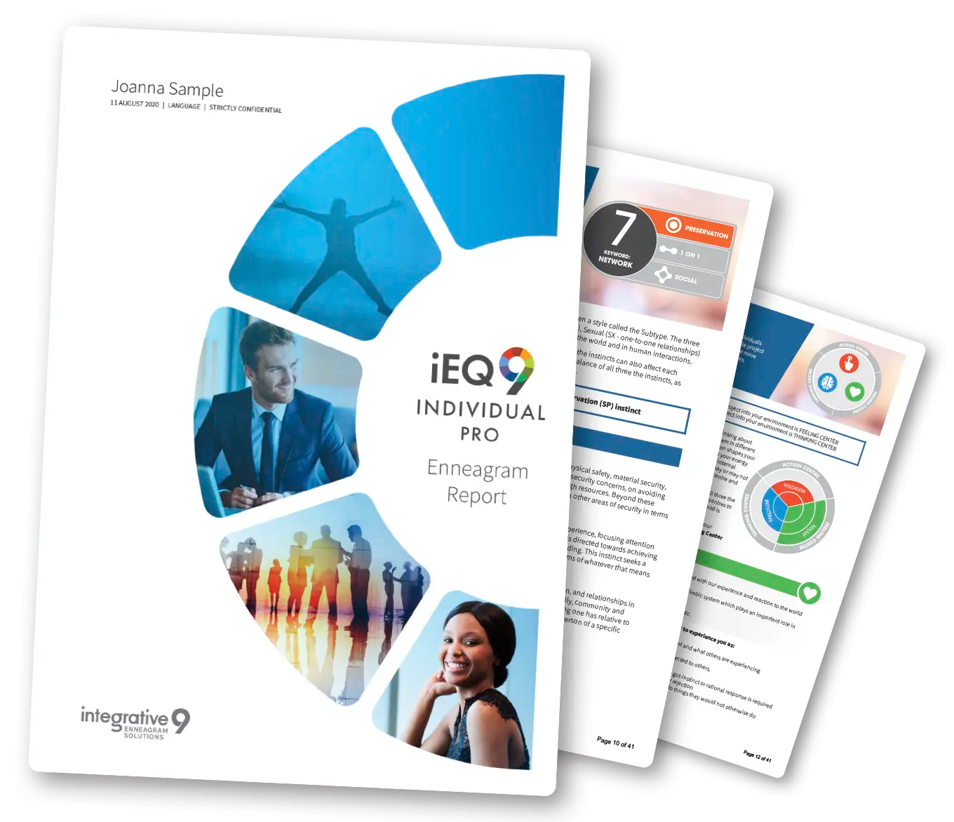 iEQ9 Enneagram Report: Professional